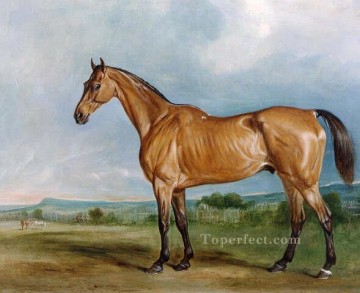 Caballo Painting - am106D animal caballo